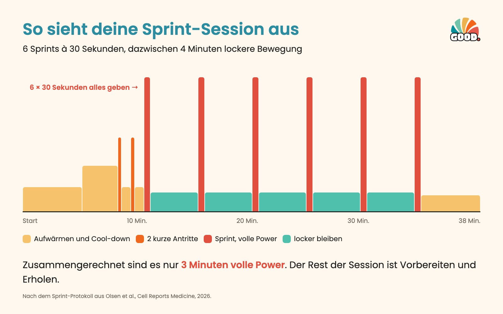 Die Sprint-Session im Bild: 6 hohe Spitzen von 30 Sekunden, dazwischen 4 Minuten Pause